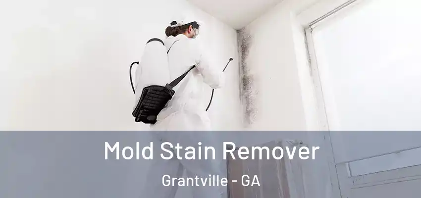 Mold Stain Remover Grantville - GA