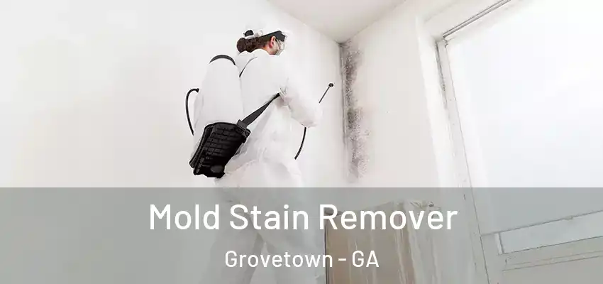 Mold Stain Remover Grovetown - GA