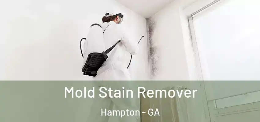 Mold Stain Remover Hampton - GA