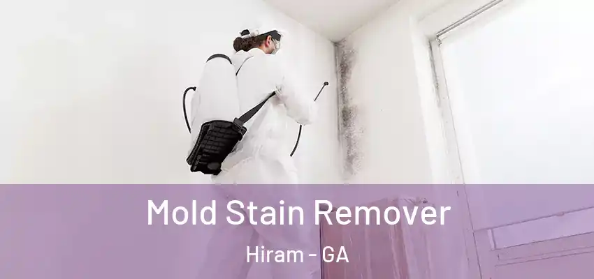Mold Stain Remover Hiram - GA
