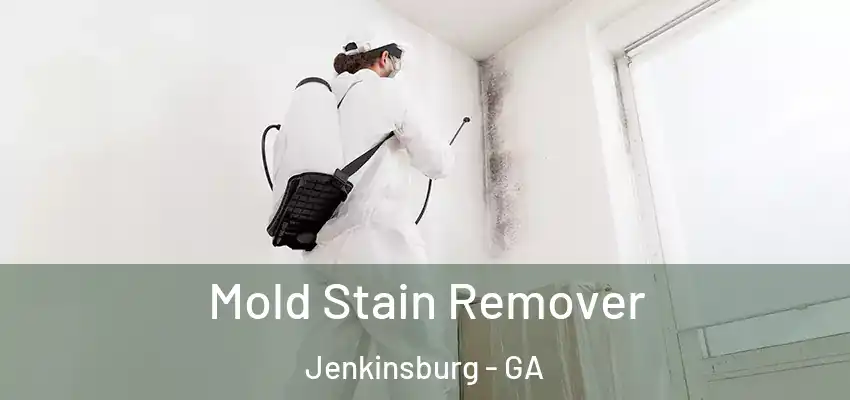 Mold Stain Remover Jenkinsburg - GA