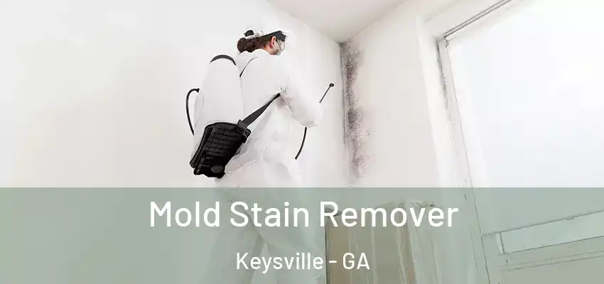 Mold Stain Remover Keysville - GA