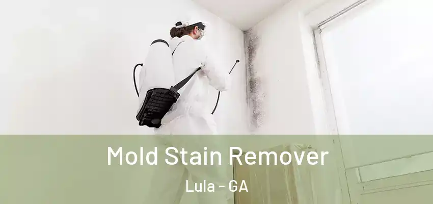 Mold Stain Remover Lula - GA