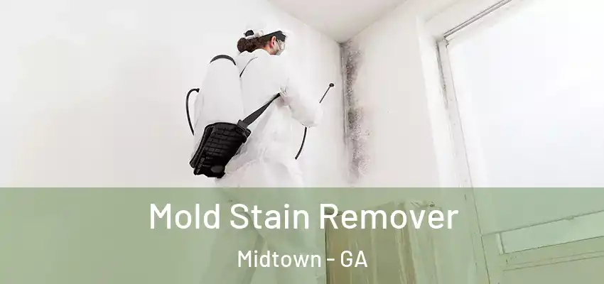  Mold Stain Remover Midtown - GA