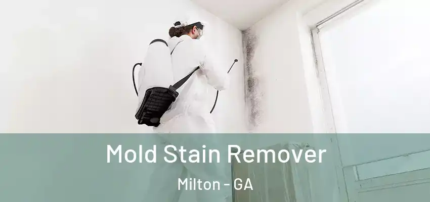 Mold Stain Remover Milton - GA