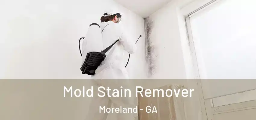 Mold Stain Remover Moreland - GA