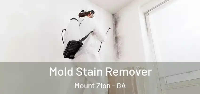 Mold Stain Remover Mount Zion - GA