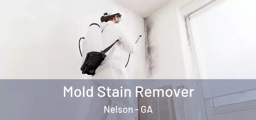 Mold Stain Remover Nelson - GA