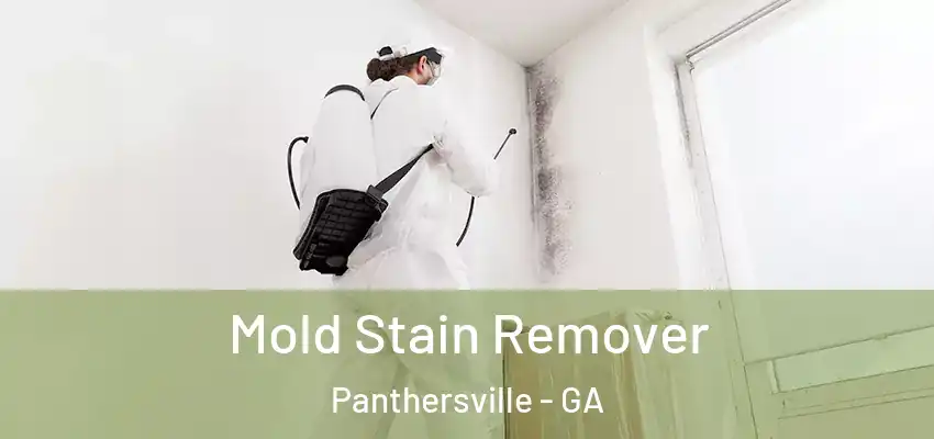 Mold Stain Remover Panthersville - GA