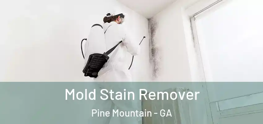 Mold Stain Remover Pine Mountain - GA