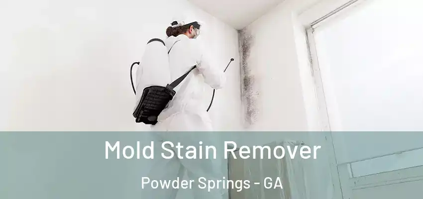 Mold Stain Remover Powder Springs - GA