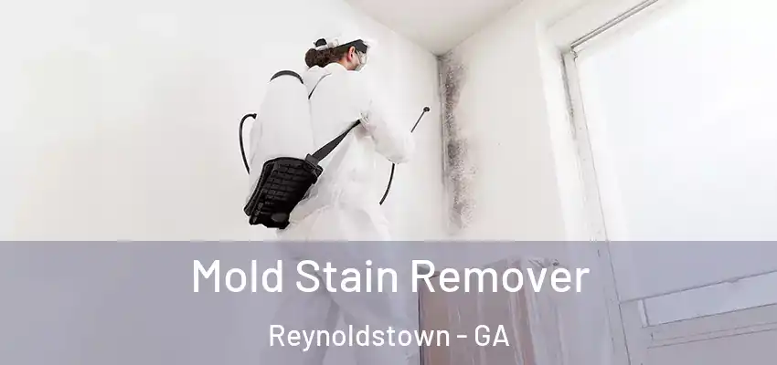 Mold Stain Remover Reynoldstown - GA