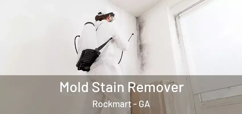 Mold Stain Remover Rockmart - GA