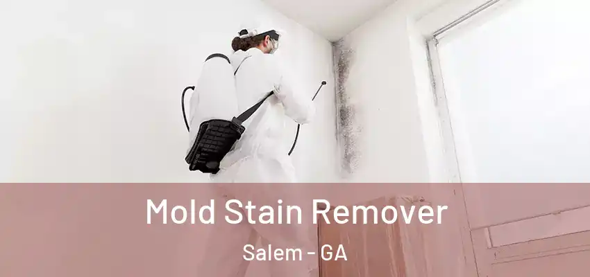  Mold Stain Remover Salem - GA