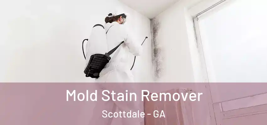 Mold Stain Remover Scottdale - GA