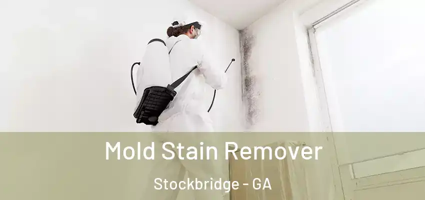 Mold Stain Remover Stockbridge - GA