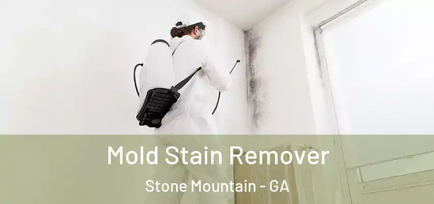 Mold Stain Remover Stone Mountain - GA