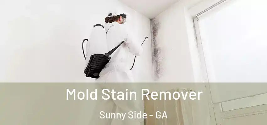 Mold Stain Remover Sunny Side - GA
