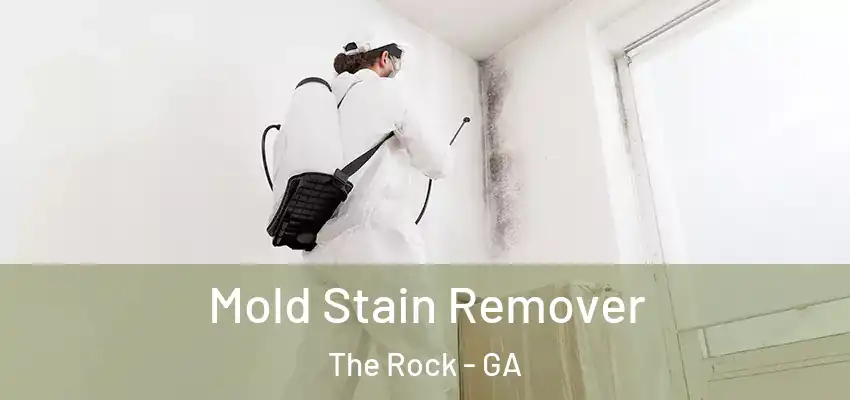  Mold Stain Remover The Rock - GA