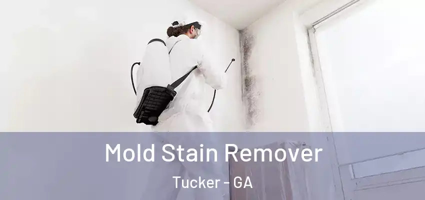 Mold Stain Remover Tucker - GA