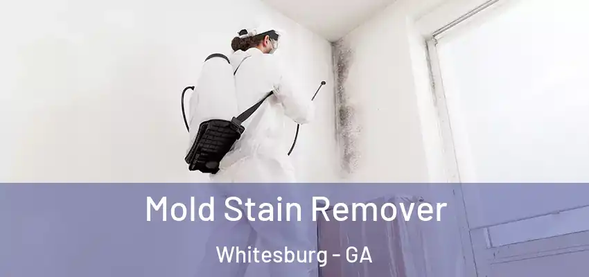 Mold Stain Remover Whitesburg - GA