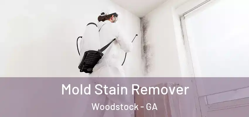 Mold Stain Remover Woodstock - GA