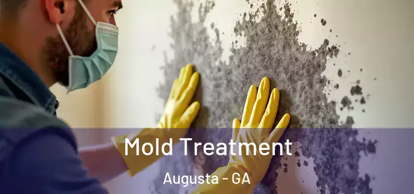 Mold Treatment Augusta - GA