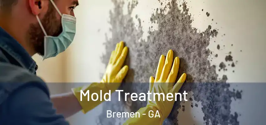  Mold Treatment Bremen - GA