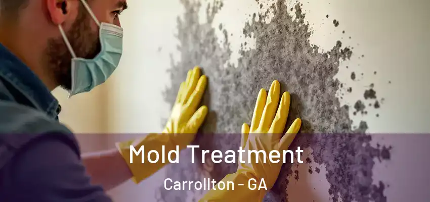  Mold Treatment Carrollton - GA