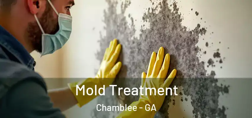 Mold Treatment Chamblee - GA