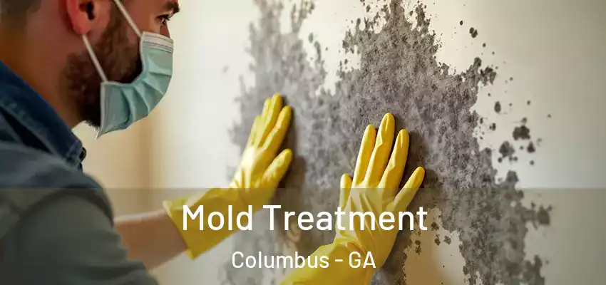 Mold Treatment Columbus - GA