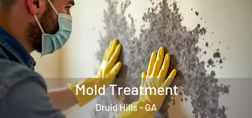 Mold Treatment Druid Hills - GA