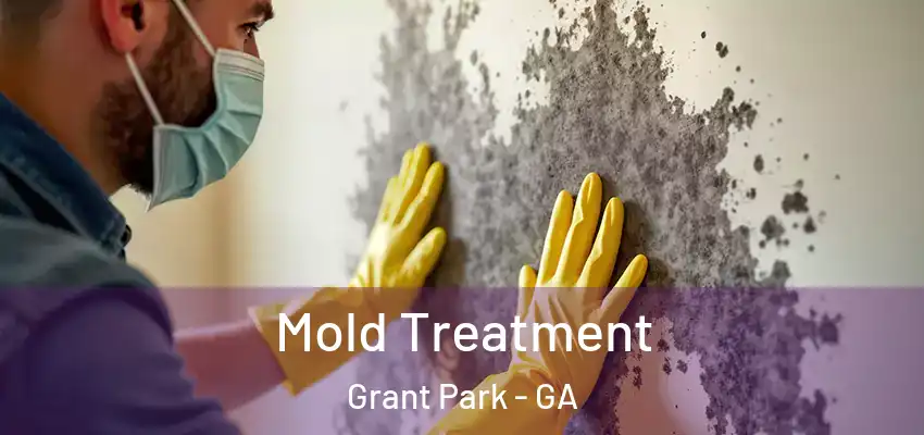 Mold Treatment Grant Park - GA