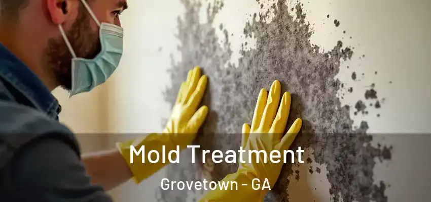 Mold Treatment Grovetown - GA