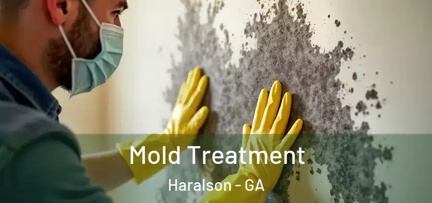 Mold Treatment Haralson - GA