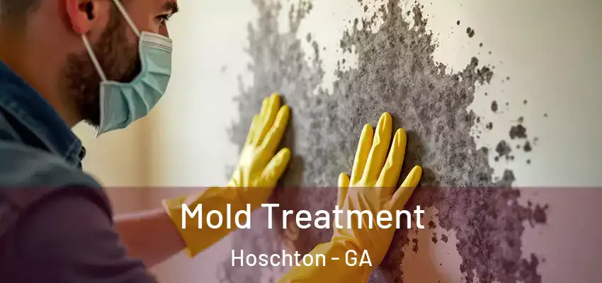 Mold Treatment Hoschton - GA