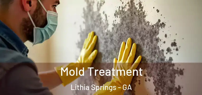 Mold Treatment Lithia Springs - GA