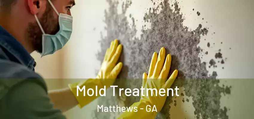  Mold Treatment Matthews - GA