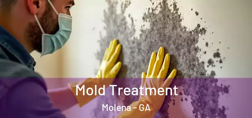 Mold Treatment Molena - GA