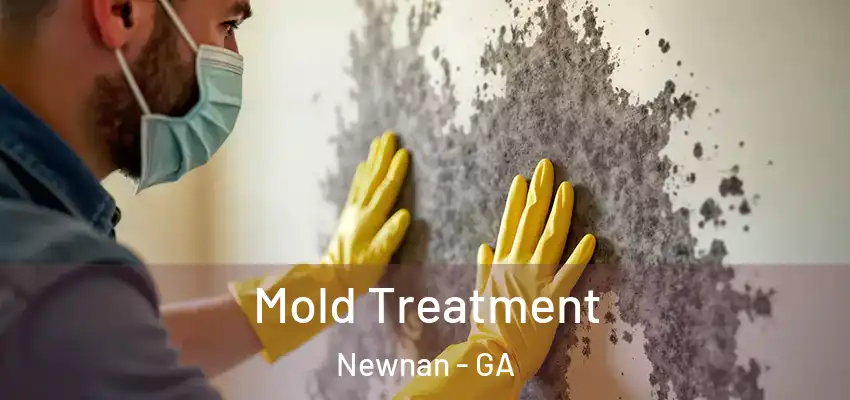 Mold Treatment Newnan - GA