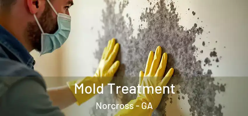 Mold Treatment Norcross - GA