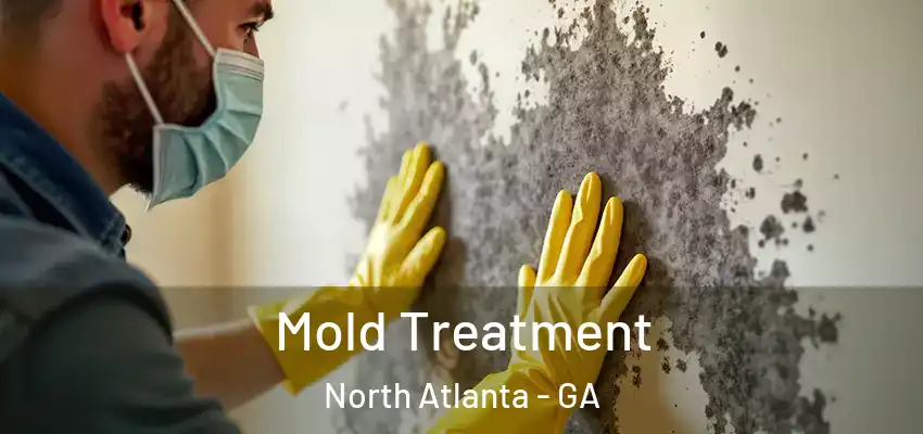 Mold Treatment North Atlanta - GA