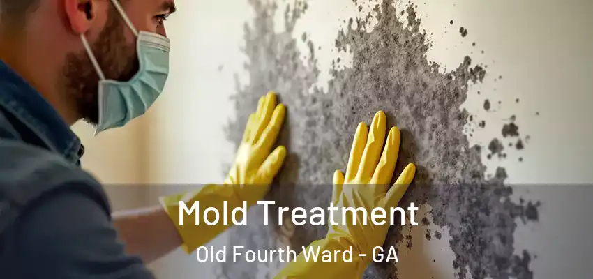 Mold Treatment Old Fourth Ward - GA