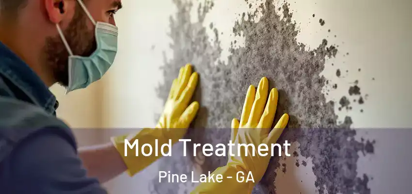 Mold Treatment Pine Lake - GA