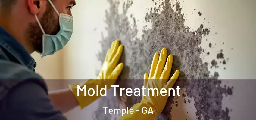Mold Treatment Temple - GA