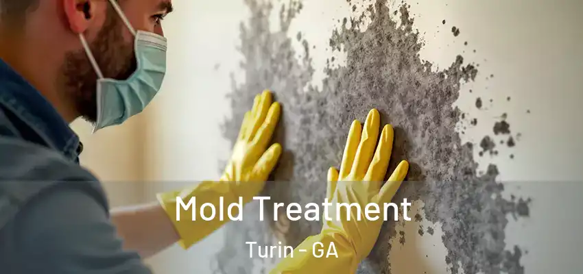 Mold Treatment Turin - GA