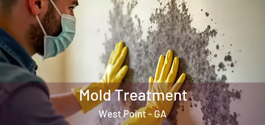 Mold Treatment West Point - GA