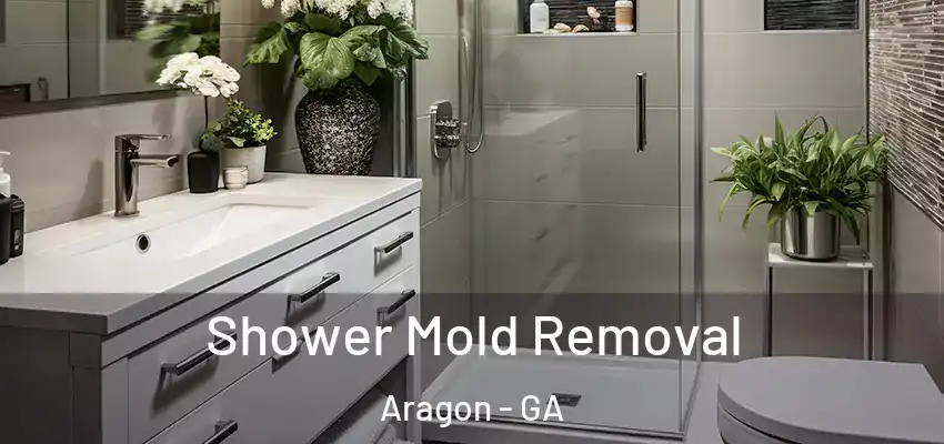 Shower Mold Removal Aragon - GA