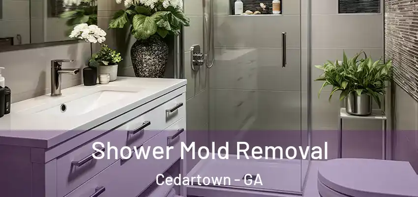 Shower Mold Removal Cedartown - GA