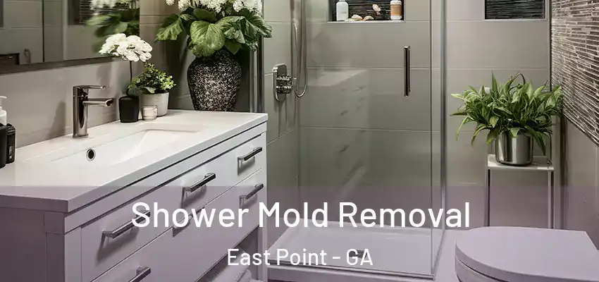 Shower Mold Removal East Point - GA